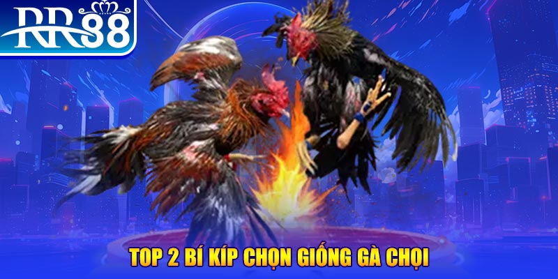 79win đăng nhập poker số 1