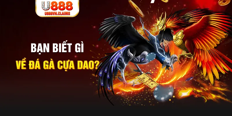 79win xổ số kiến thiết