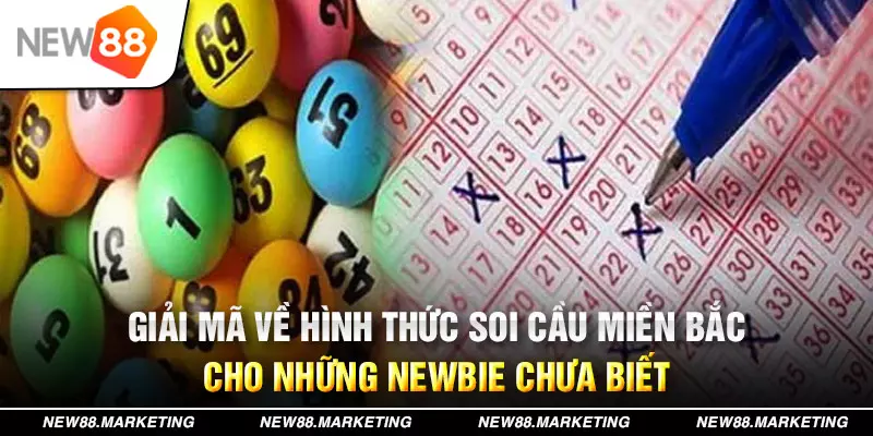 79win đăng nhập mậu binh live