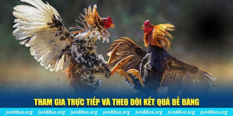79win đá gà trực tiếp bình luận viên