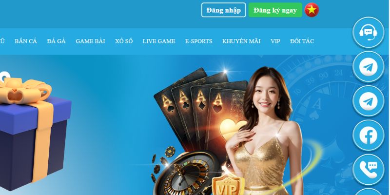 79win slot là gì dịch