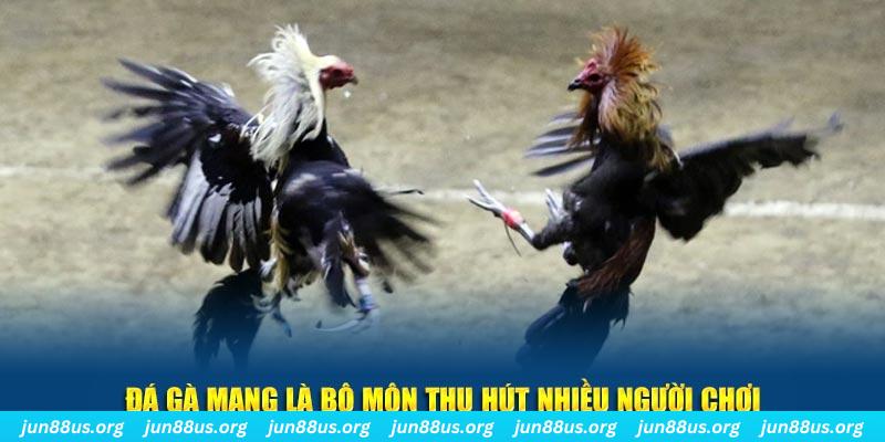 79win xổ số cà mau