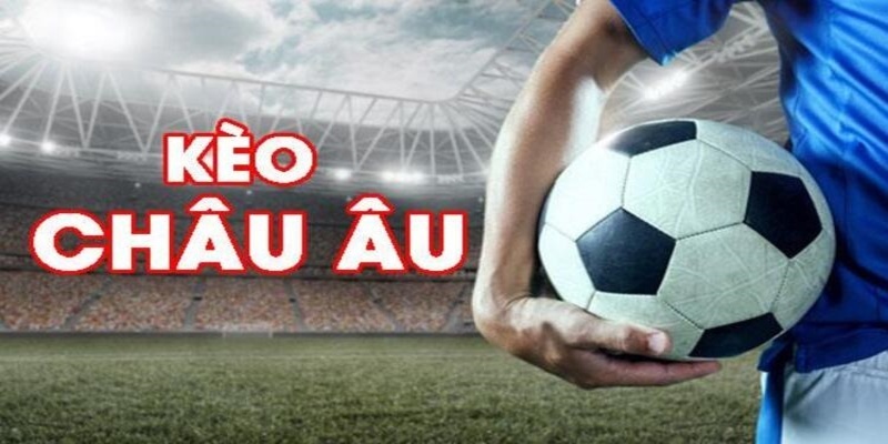 79win đá gà trực tiếp casino