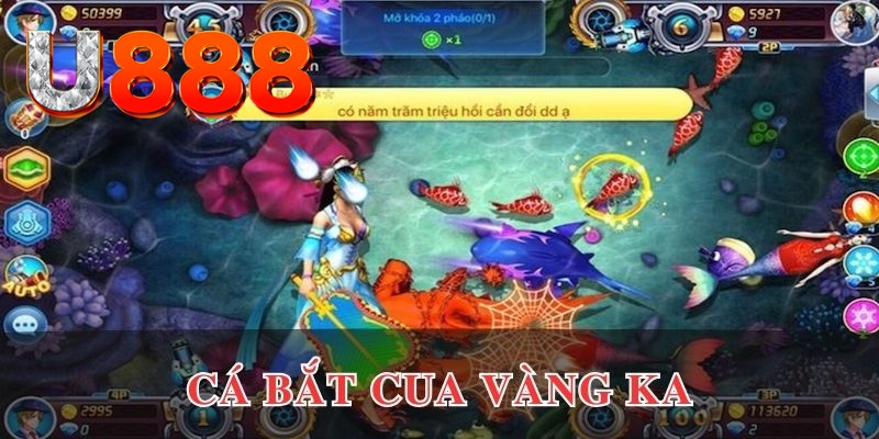 79win đăng nhập phỏm uy tín