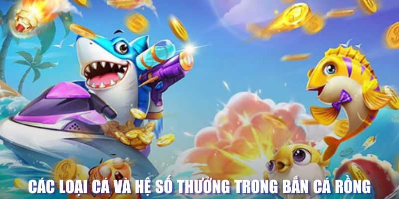 79win loi game dot kich ket noi may chu that bai