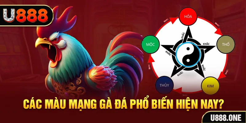 79win đăng nhập mậu binh