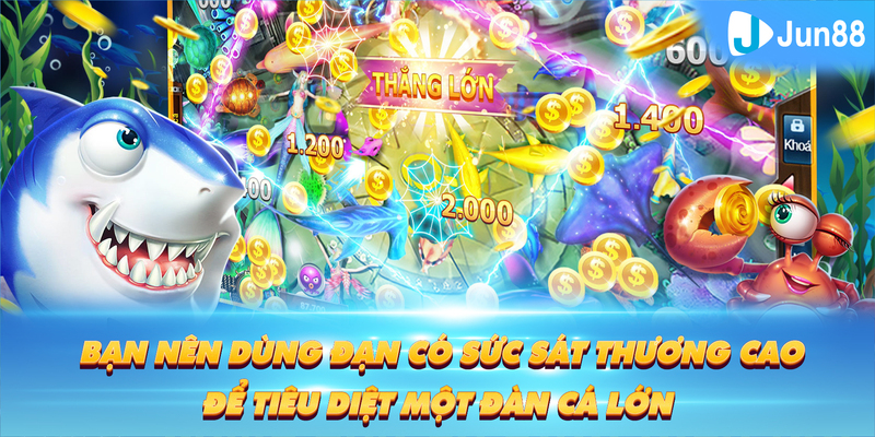 79win Tung Đồng Xu
