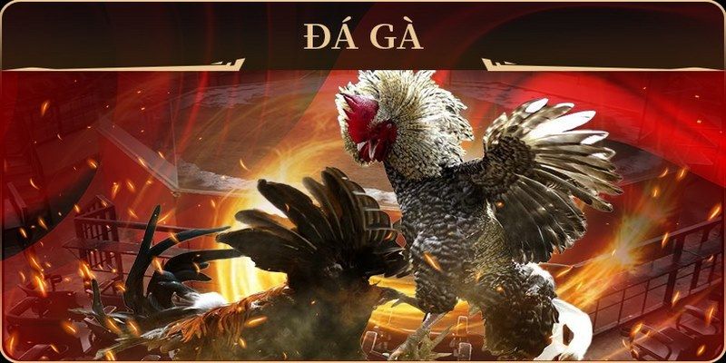 79win no hu doi thuong ai