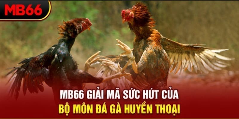 79win Phi Đội Ưu Tú
