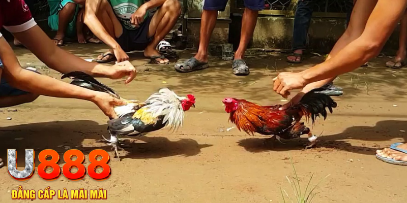 79win đăng nhập mậu binh rút tiền nhanh