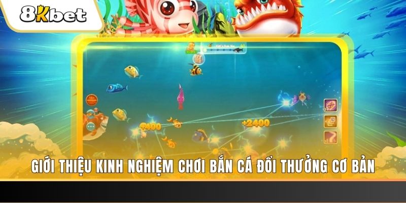 79win xổ số miền bắc thứ năm hàng tuần