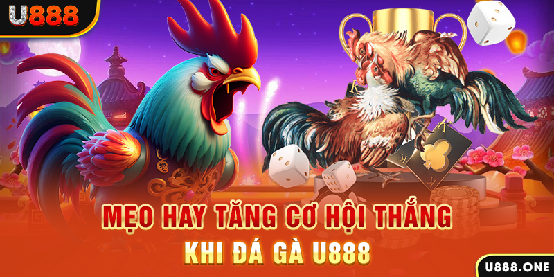 79win trực tiếp gà chọi c1