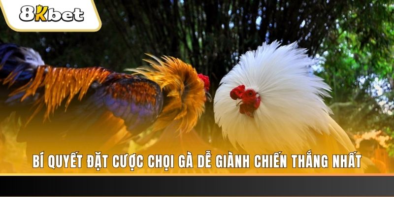 79win Tài Xỉu 2