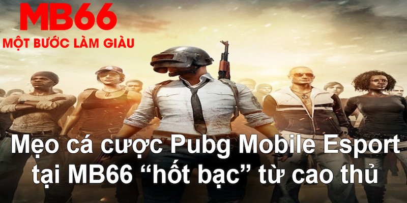 79win gà chọi mộc hóa