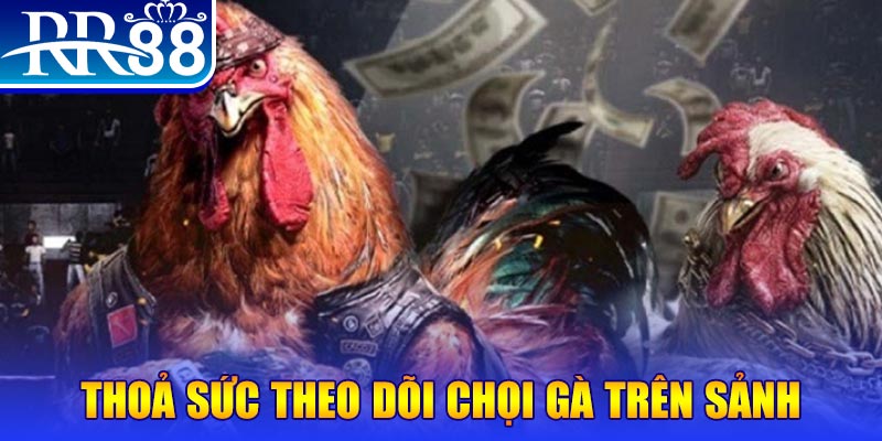 79win đá gà 88.com