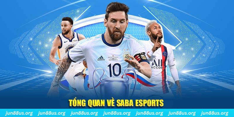 79win gà chọi c1 tv trực tiếp hôm nay